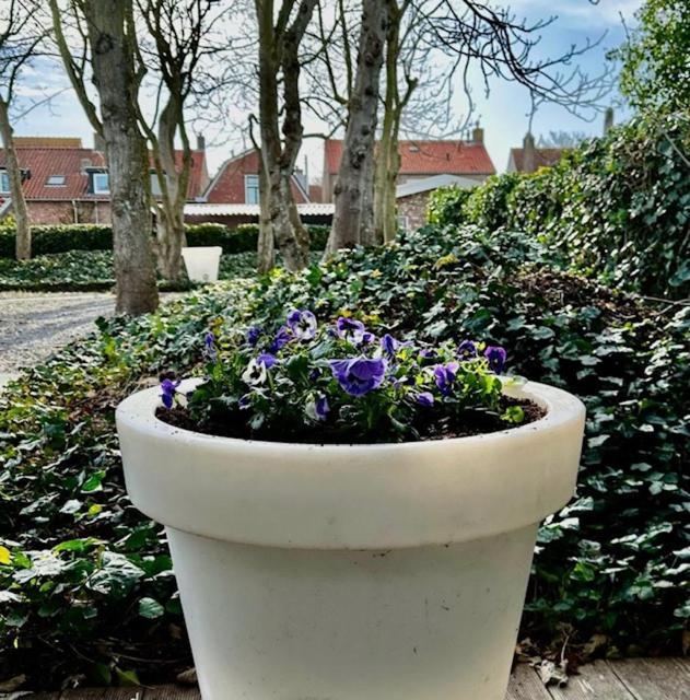 Hello Zeeland - Appartementen Herenstraat 19 - Zee & Zand Domburg Zewnętrze zdjęcie